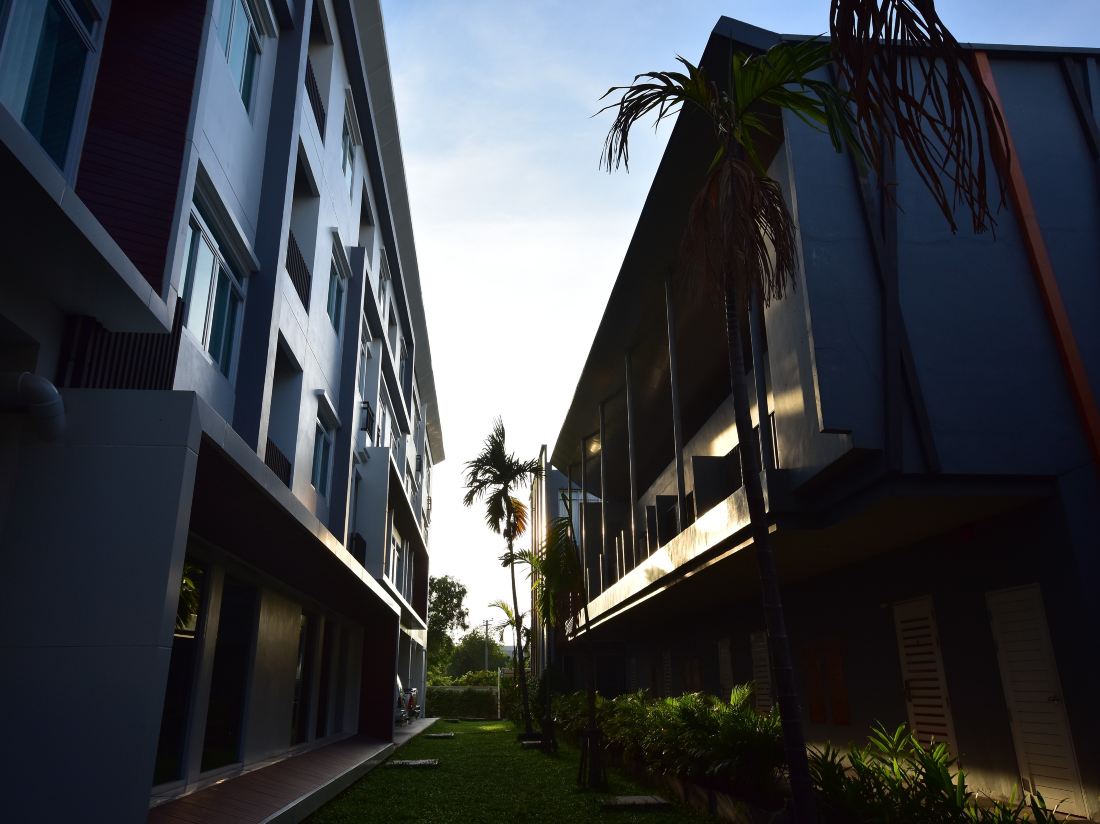 ImgAlt