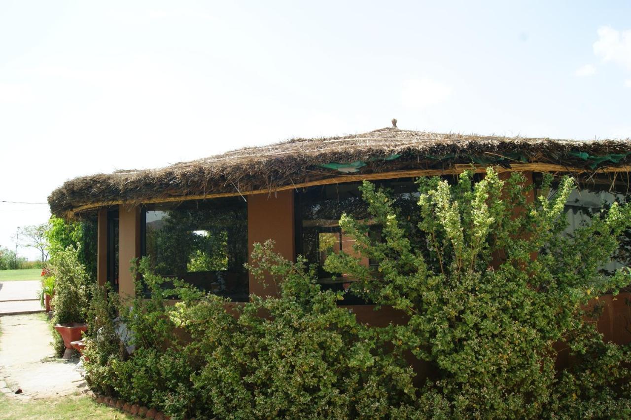 Risala Resort Pushkar — фото 4
