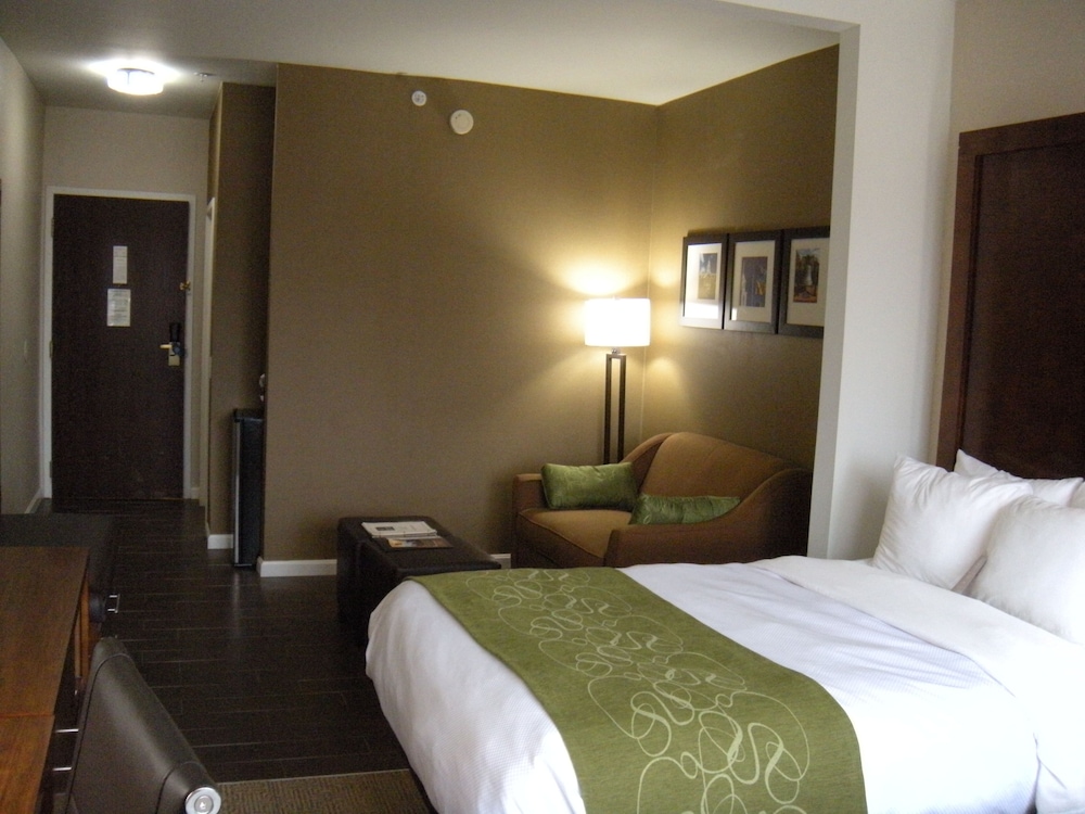 Comfort Suites Dover University Area