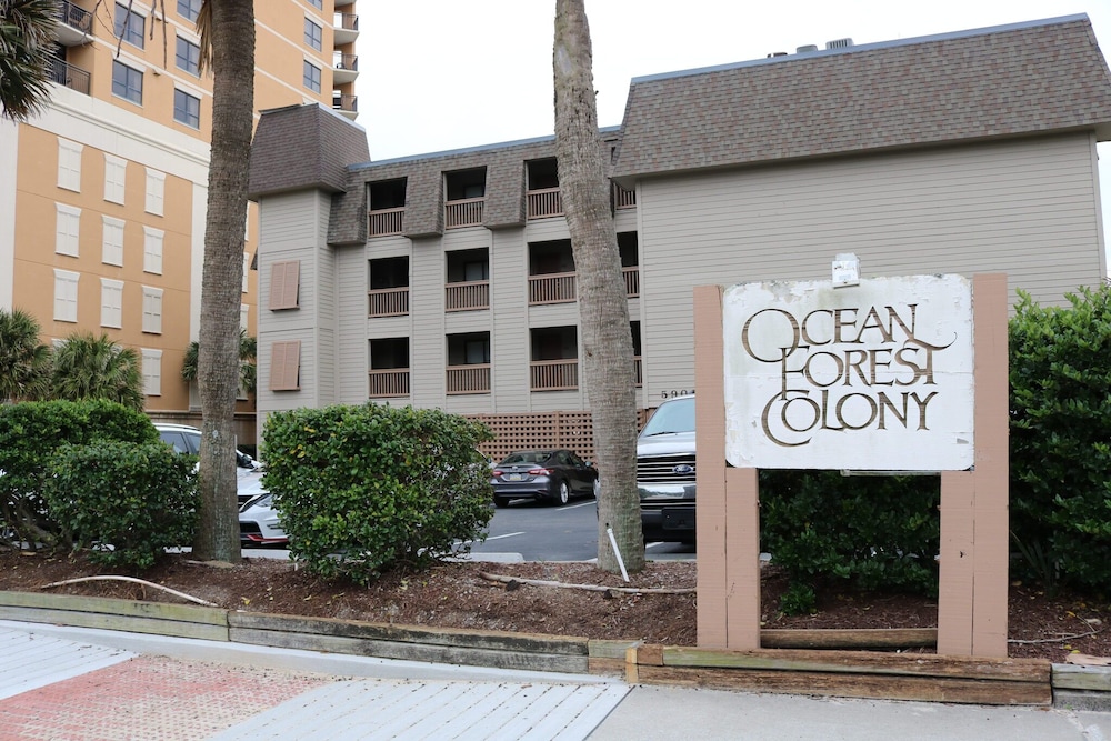 Ocean Forest Colony