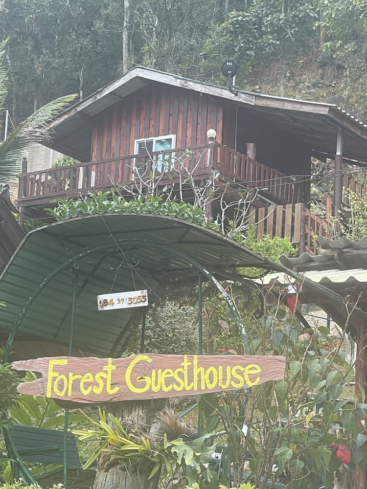 Forest Guesthouse
