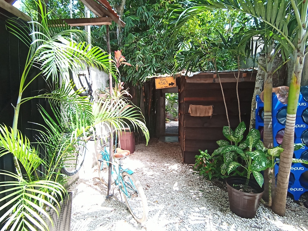 Eco Rooms Tulum — фото 3