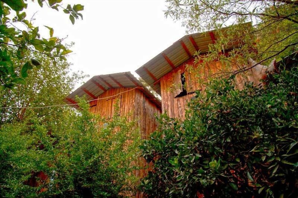 Bayrams Tree Houses — фото 5