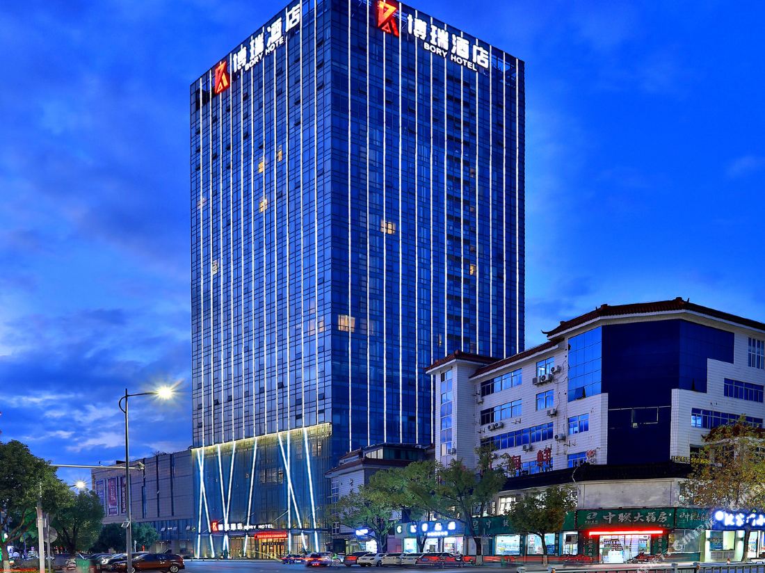Bory Hotel — фото 5