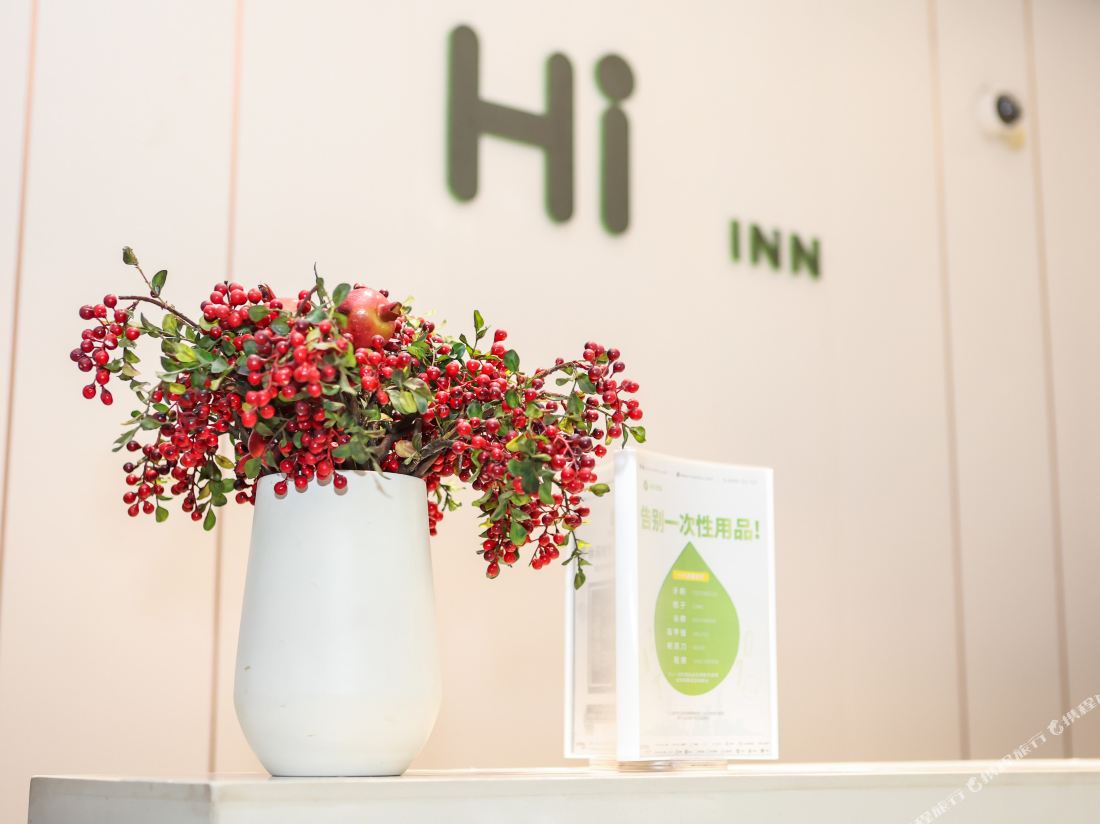 Hi Inn (Shanghai Songjiang Zuibaichi Metro Station)