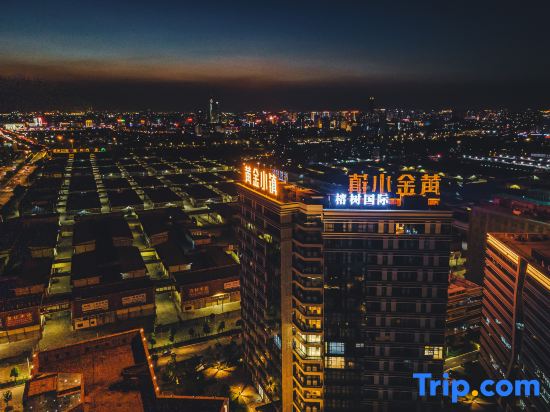 Banyan International Apartment (Dongguan Golden Town)