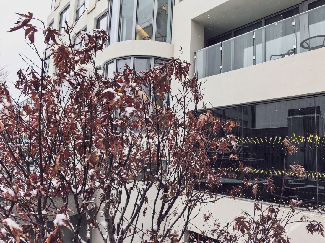 The Purple Horse (Zilong Garden Hotel)