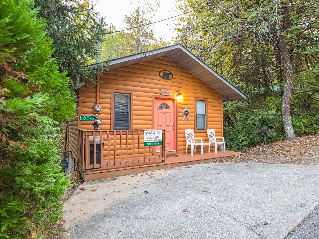 Bear Hugs Cabin — фото 2