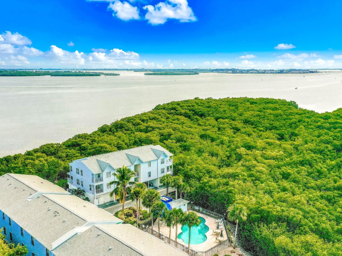 Mangrove Oasis — фото 2