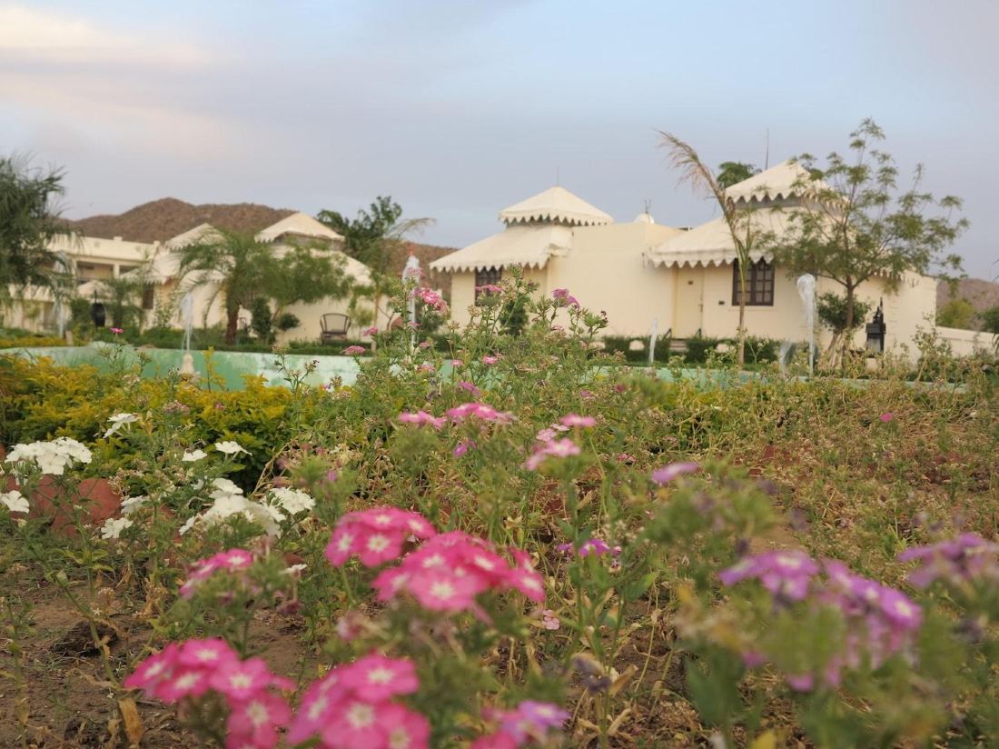 Aaram Baagh Pushkar by Pachar Group — фото 3