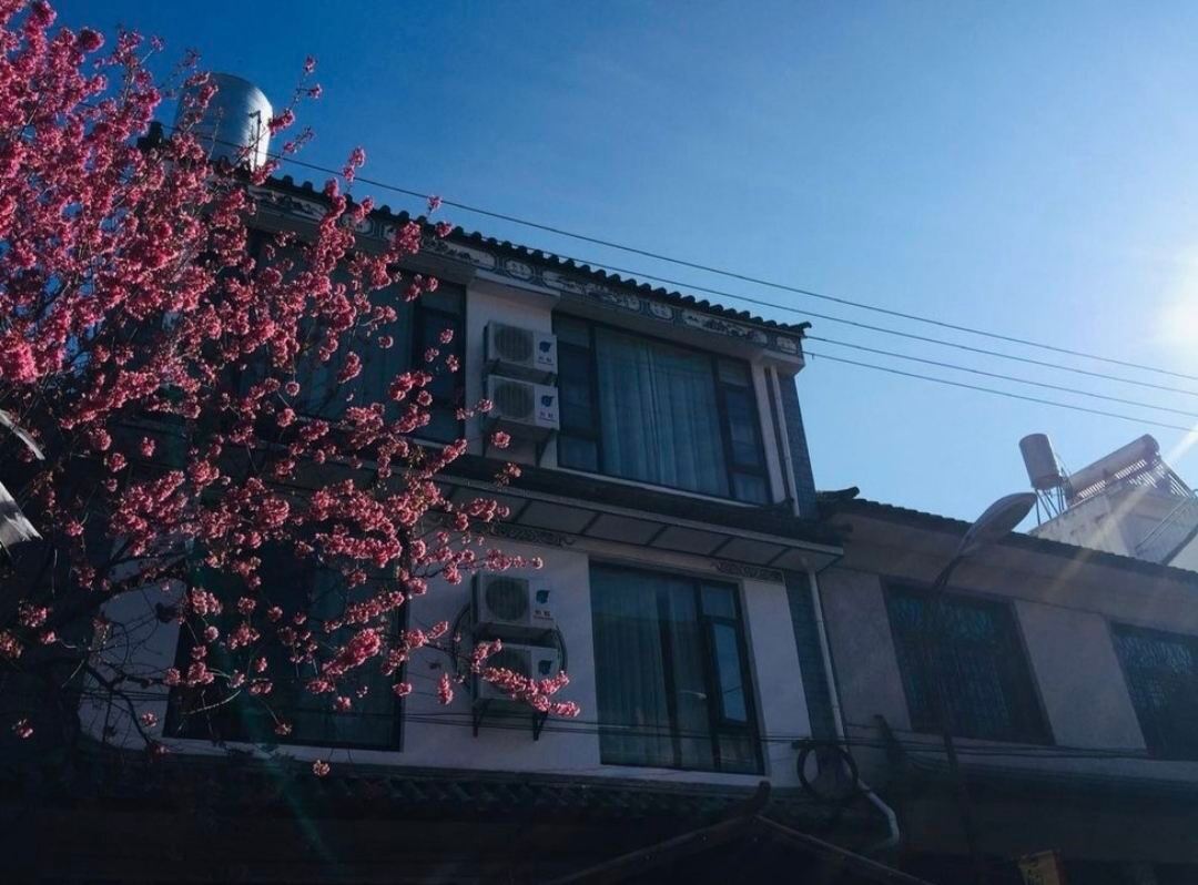 Lin Zai Dali Inn — фото 4