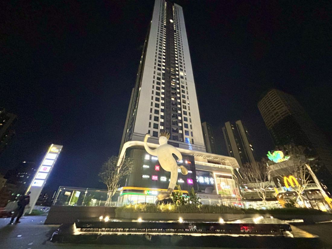 Earl Shijia Executive Apartment (Shenzhen North Railway Station Vanke Hesongxuan Branch)