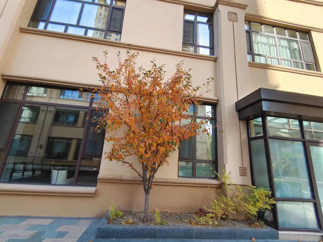 Jingu Alley Hotel