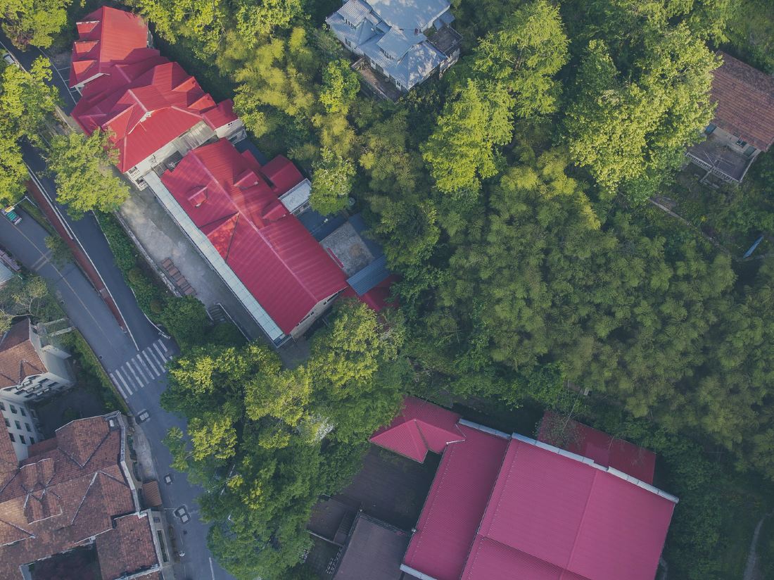 Moganshan Pine Cereal Villa