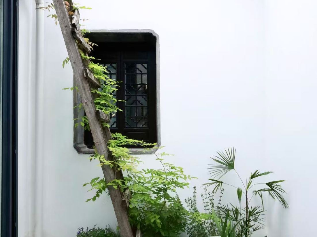 SHIJIAN — фото 2