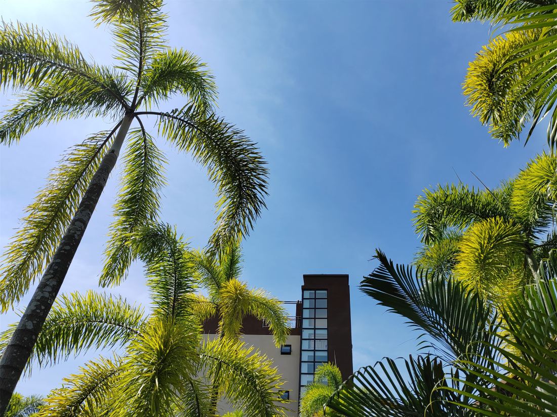 River Spring Sea View Hotel — фото 2