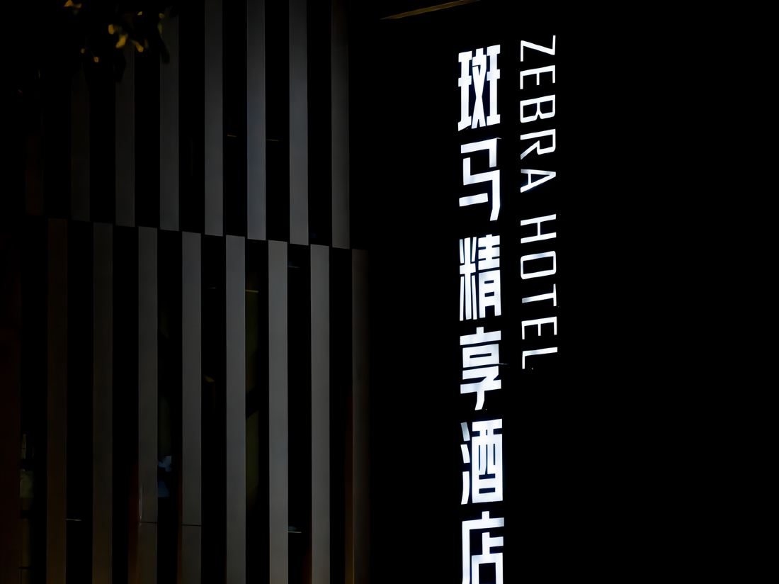 ZEBRA HOTEL — фото 3