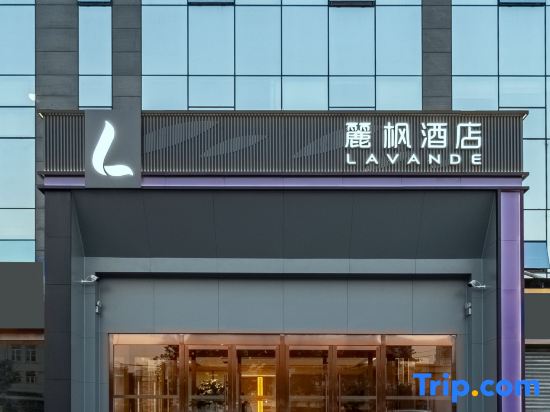 Lifeng Hotels — фото 4