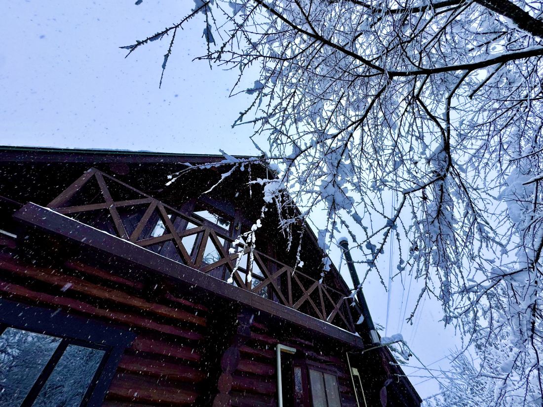 Mountain View Chalet Hakuba — фото 3
