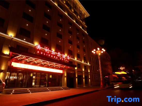 Oligar Select Hotel (Harbin Central Street Branch)