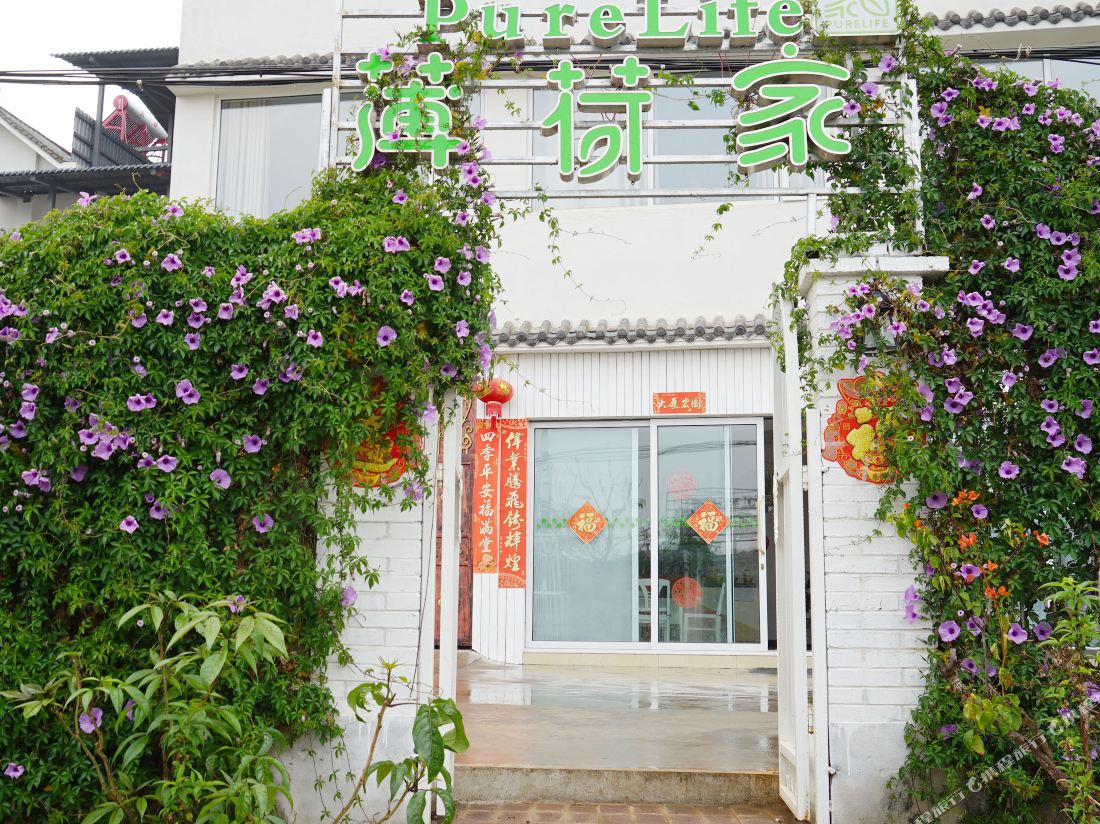 Pure Life Hostel