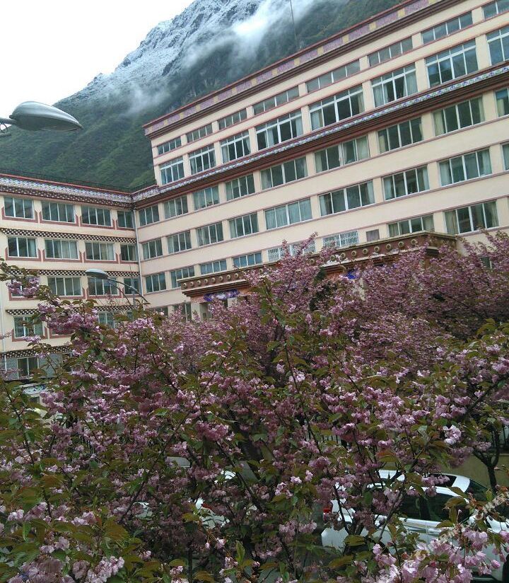 Penglai Inn — фото 3