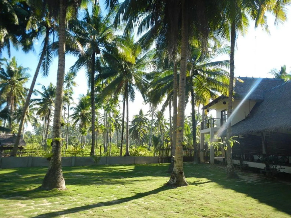 Buddha's Surf Resort — фото 2