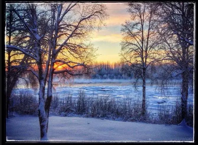 Susitna River Lodging — фото 5